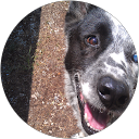 Joel Harvey profile picture